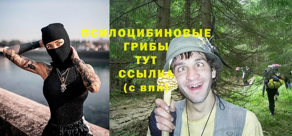 apvp Белокуриха