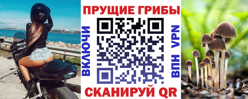 где продают наркотики Гай Галлюциногенные грибы прущие грибы