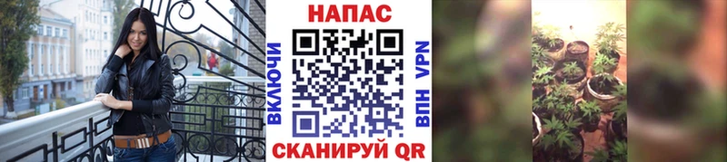 кракен   Гай  Бошки марихуана AK-47 